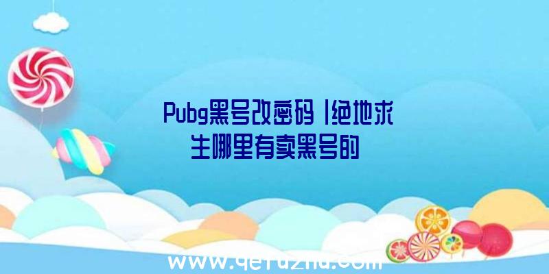 「Pubg黑号改密码」|绝地求生哪里有卖黑号的